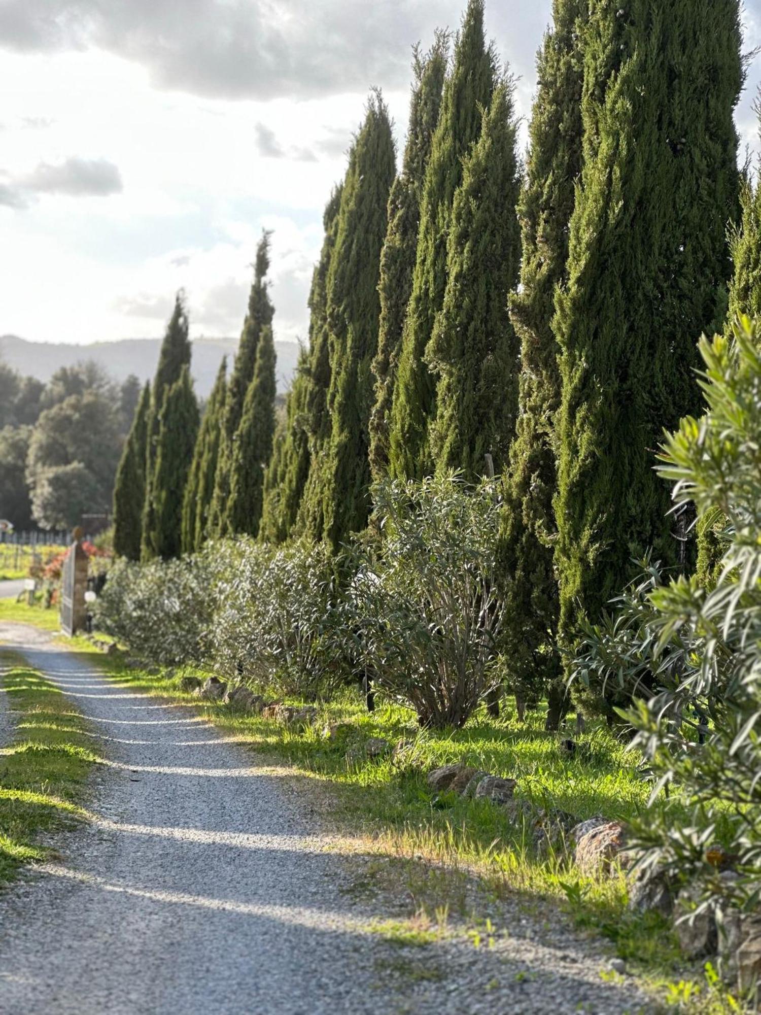 Antico Borgo Il Cardino Bed & Breakfast San Gimignano Bagian luar foto